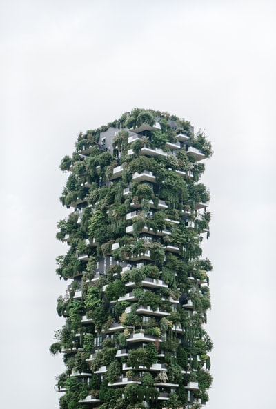 建筑与植物
